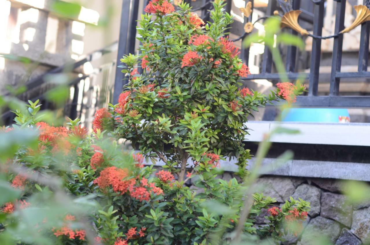 Amed Romance House المظهر الخارجي الصورة